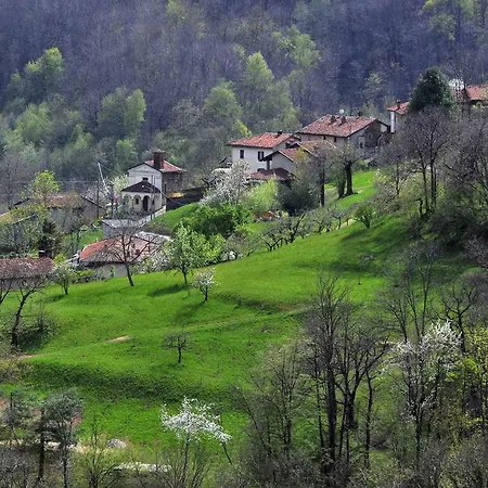 La Vista